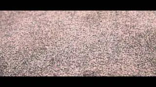 Machine Washable Entrance Mat - Office - TheWorkplaceDepot