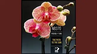 Pebble Beach (Original Mix)