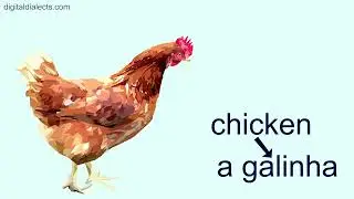 Animals in Brazilian Portuguese