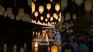 Nara Tokae Lantern Festival #japan #nara #lanternfestival