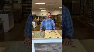 Carpet Pad