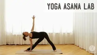 Yoga Asana Lab: Externally rotated postures (Warrior II, Half Moon, Right Angle, Triangle)