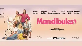 MANDIBULES BANDE ANNONCE HD, Palmashow, Quentin Dupieux