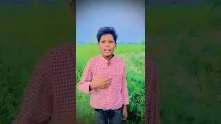 Daru me pani dalo ge to pani banega aur ladki se mohabbat karoge to yari ko kho doge. #funny