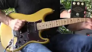 BARBER LTD  -  WARMOTH STRAT (Bare Knuckle COBRA)   - FREIDMAN MINI DIRTY SHIRLEY