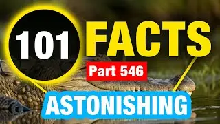 101 World Facts | Incredible Facts