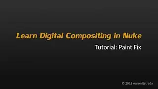 Learn Nuke NK101 2-8 Tutorial Part 2/3 Paint Fix