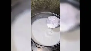 Homemade Kalakhand | Quick Sweet Dish Recipe for Beginners #sweet #sweetrecipe #youtubevideo  #viral