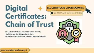 Digital Certificates: Chain of Trust | Self-Signed Cert, Root Cert, Intermediate Cert, Server Cert