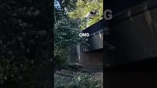 Dom tomato's insane jump.