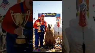 Capybara Came in First with a New Giant White Turkey #capybara
