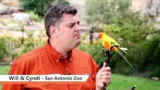 SA Goes Orange - San Antonio Zoo