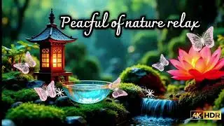 Mental Health & Zen Music to Calm an Overactive Brain