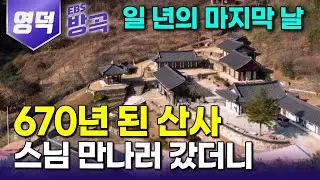 [경북 영덕] 