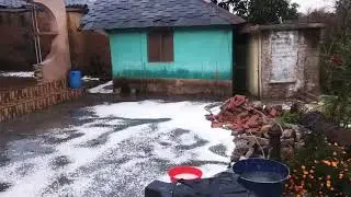 Snowfall at (jharar) jawali distt kangra hp
