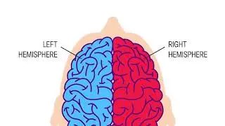 Clench Right Hand Than Left   Your Brain Will Never Forget Memory Power Dr  Mandell   motivationaldo