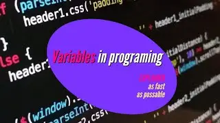 Variables in Programming