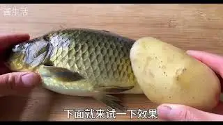A smart way to remove fish scales