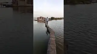 #indian#attitude#indianyoutuber #livestreaming #instagram #funny #livetv #like #song #live #youtube
