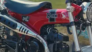 2022 HONDA DAX ST125 OFFICALLY RELEASED!!!