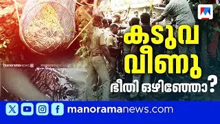 കിണറ്റിൽ വീണ കടുവയെ രക്ഷപ്പെടുത്തി; മനുഷ്യന് വേണ്ടേ രക്ഷ ?  | Chittar tiger rescue | Human Wildlife
