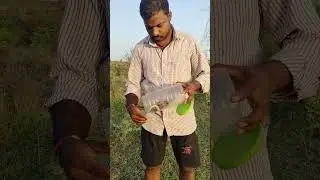 common kukari kukri snake non venomous release