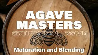 Agave Masters: Maturation and Blending ｜ Certification 1, Lesson 4