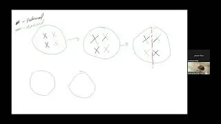 Meiosis BIOL 230 Section 8