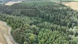Sample Footage #002 - Deerhunt Wood, Cornwall - DRonE - Aerial Photography and Videography
