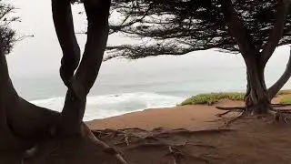 Walking The Leffingwell Landing Bluff Trail, Cambria, Ca
