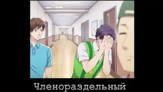 Членораздельный