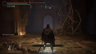 Malenia Boss Fight Stream.... Pain