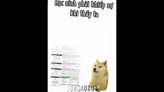 Thứ đ&aacute;ng sợ nhất khi đi thi :)))#memes #hai #cheems #shorts