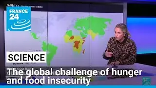 World Food Day 2024: The global challenge of hunger and food insecurity &bull; FRANCE 24 English