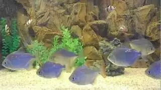 DSCN0610