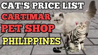 CAT'S PRICE LIST IN THE PHILIPPINES | CARTIMAR PET SHOP'S UPDATED | DER DOGS