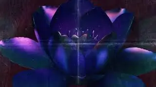 Spectral
