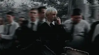 Draco Malfoy x Y/N TikTok’s to watch before bed 🐍⭐️