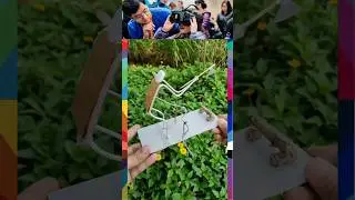 Daly science experiments activity with cardboard #experiment #scienceexperiment #cardboardprojects