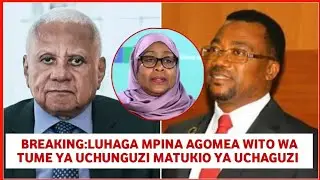 Luhaga mpina aigomea tume ya Rais samia 