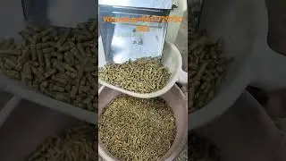 New 260 pellet machine make feed pellets#pelletmachine #pelletmaker #pellet #feedpellet #fuelpellet