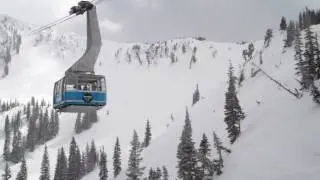 Park It Trailer
