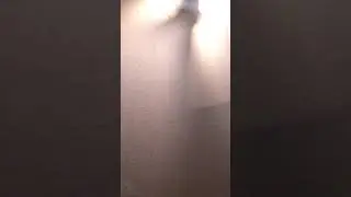 Moth attack