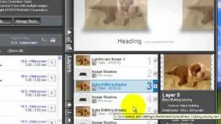 Videotutorial Pro Show N. 11 In Italiano Shadowplay Titles Style Pack 4 Insert a video clip