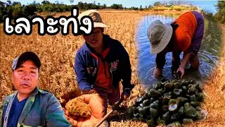 พาแม่น้ำหวานเลาะท่ง24 ธันวาคม ค.ศ. 2025