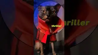 Cutest Halloween Cat&rsquo;s You&rsquo;ll See Today 😻 #shorts #cat #halloween