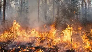 ЗАХОДИ, ПОГРЕЙСЯ (РЕТРО СТРИМ, ДЕНДИ, СЕГА, УГАРНЫЙ СТРИМ)