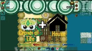 Starve io Making a House + Getting Crown of Life!