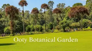 🌿 Government Botanical Garden Ooty | Walkthrough | Nature&rsquo;s Colorful Paradise 🌸