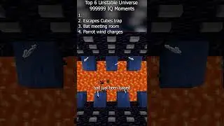 Unstable SMP Top 99999 IQ Parrot Moments